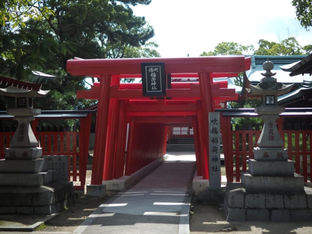 alignement de torii