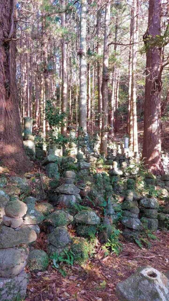 Monticules de pierres dans une forêt à Kyushu, au Japon