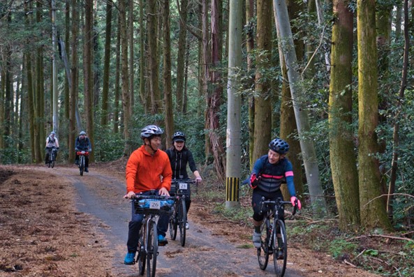 Des cyclistes sur une route traversant la forêt au Japon