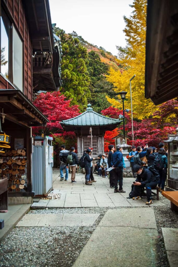 Paysage d'automne au temple bouddhiste historique d'Oyama ville de Isehara.