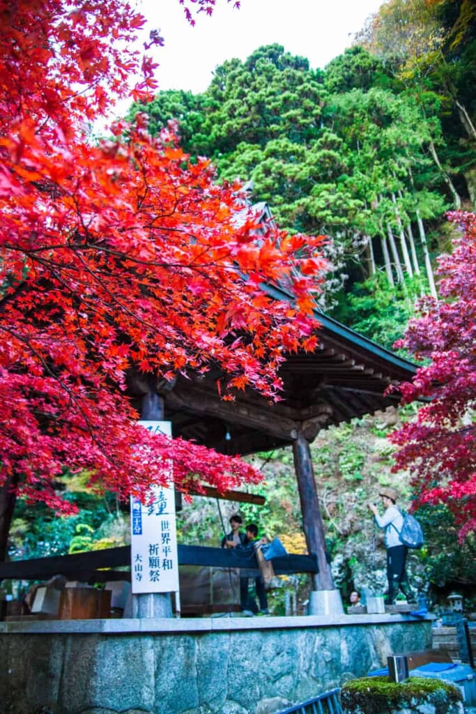 temple bouddhiste historique d'Oyama en automne