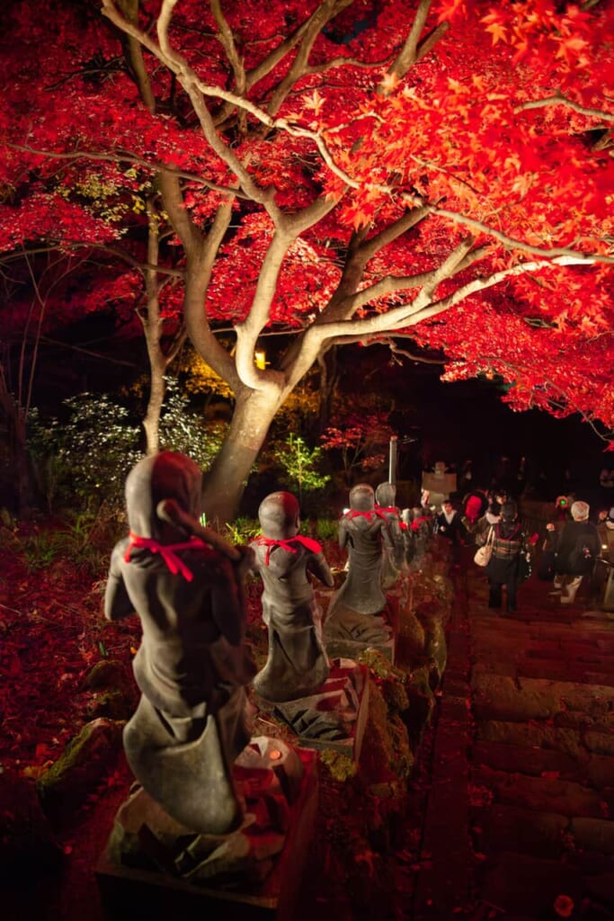 Illuminations d'automne au temple bouddhiste historique d'Oyama ville de Isehara.