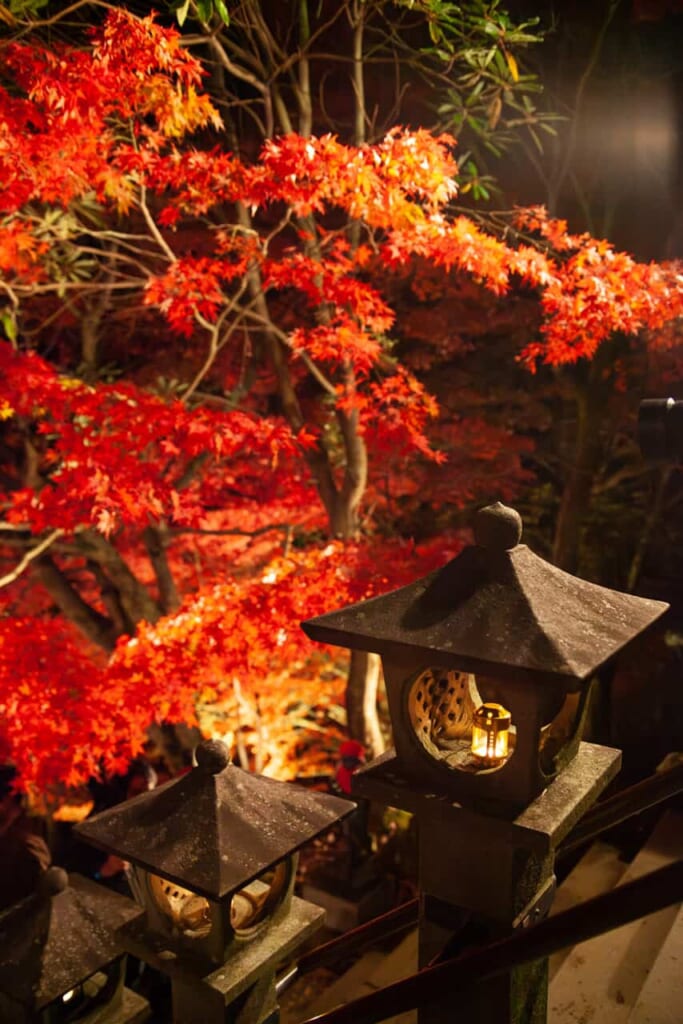 Illuminations d'automne au temple bouddhiste historique d'Oyama