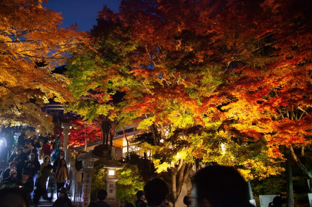Illuminations d'automne au sanctuaire shintoïste Oyama Afuri de Isehara