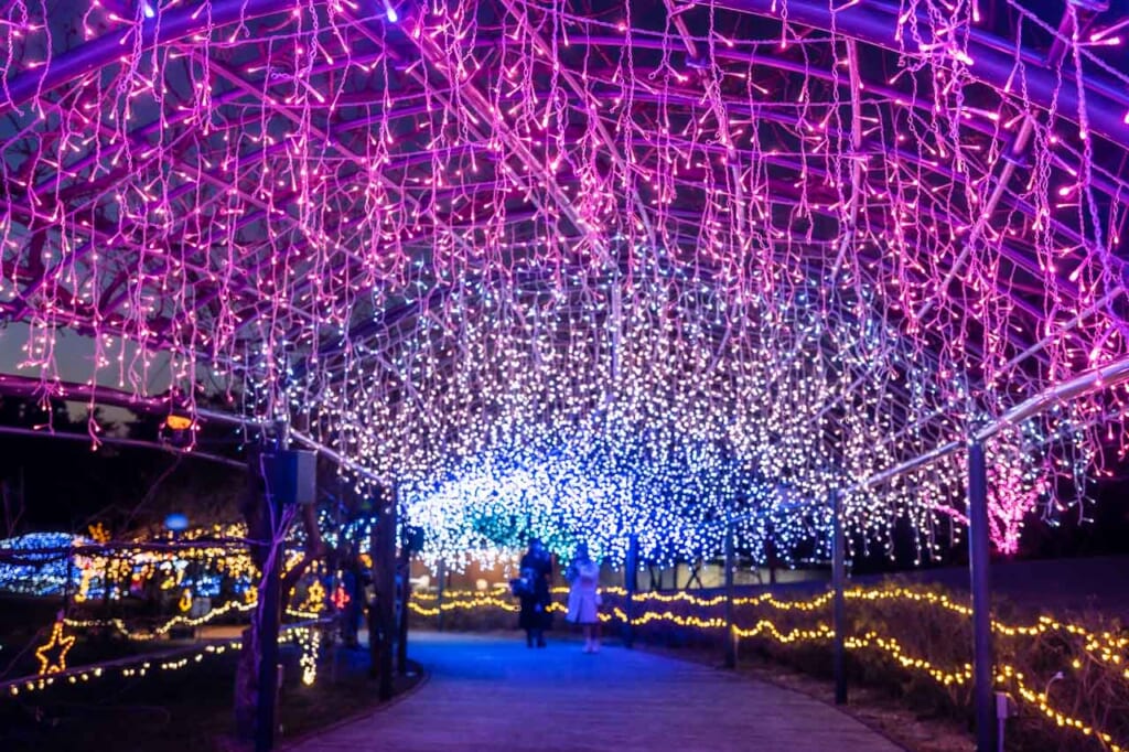 Illuminations hivernales au parc floral de Hamamatsu