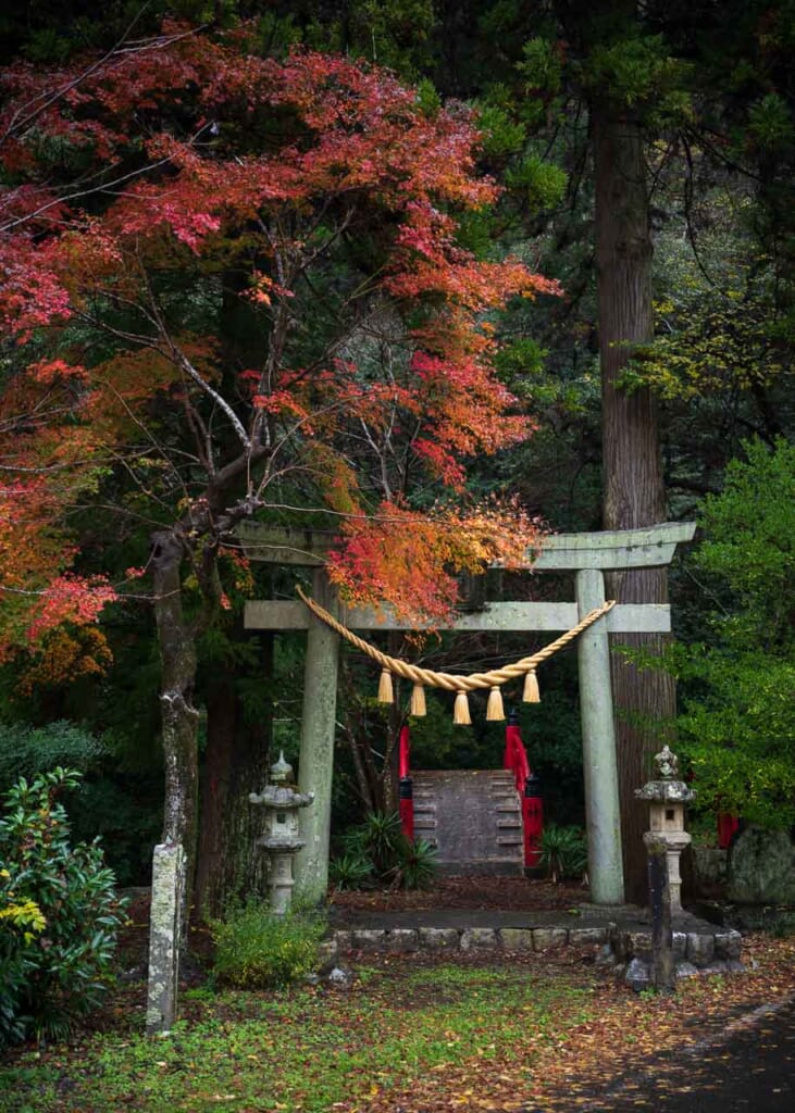 Porte torii en pierre et feuillage d'automne à Hamamatsu