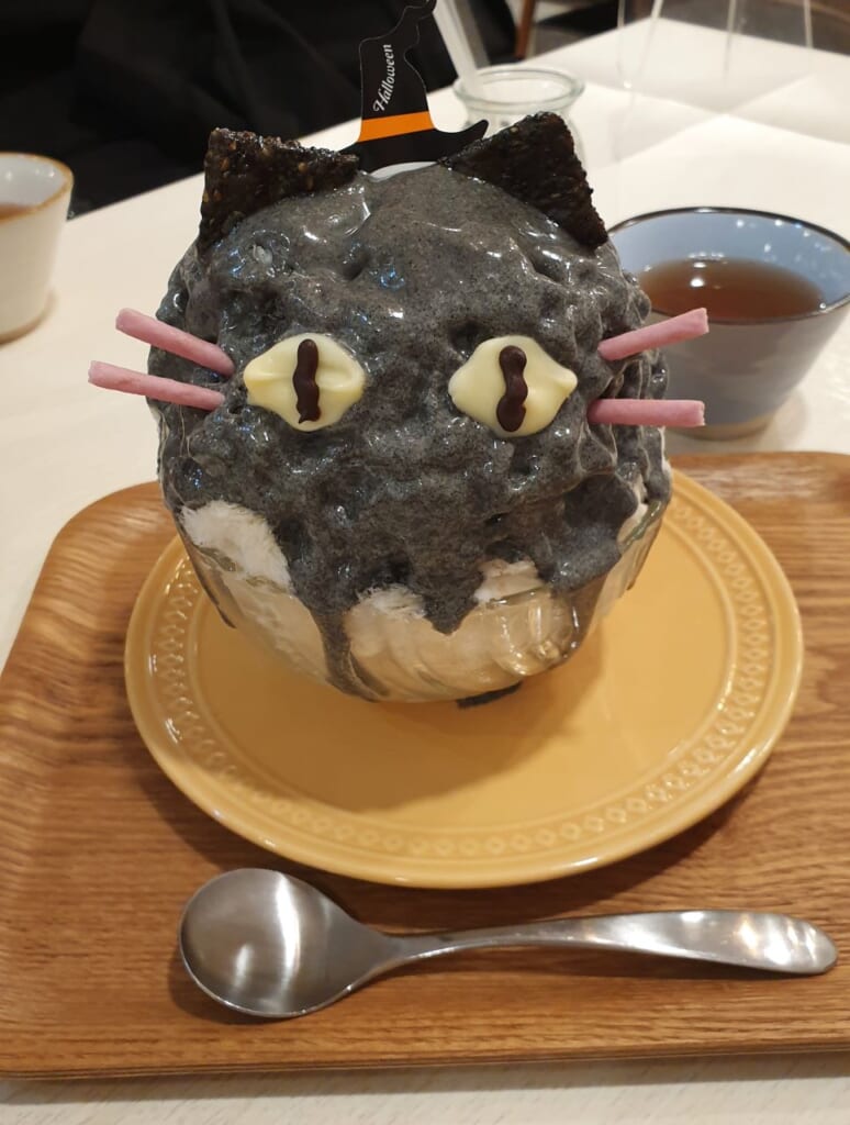 kakigori tête de chat gris