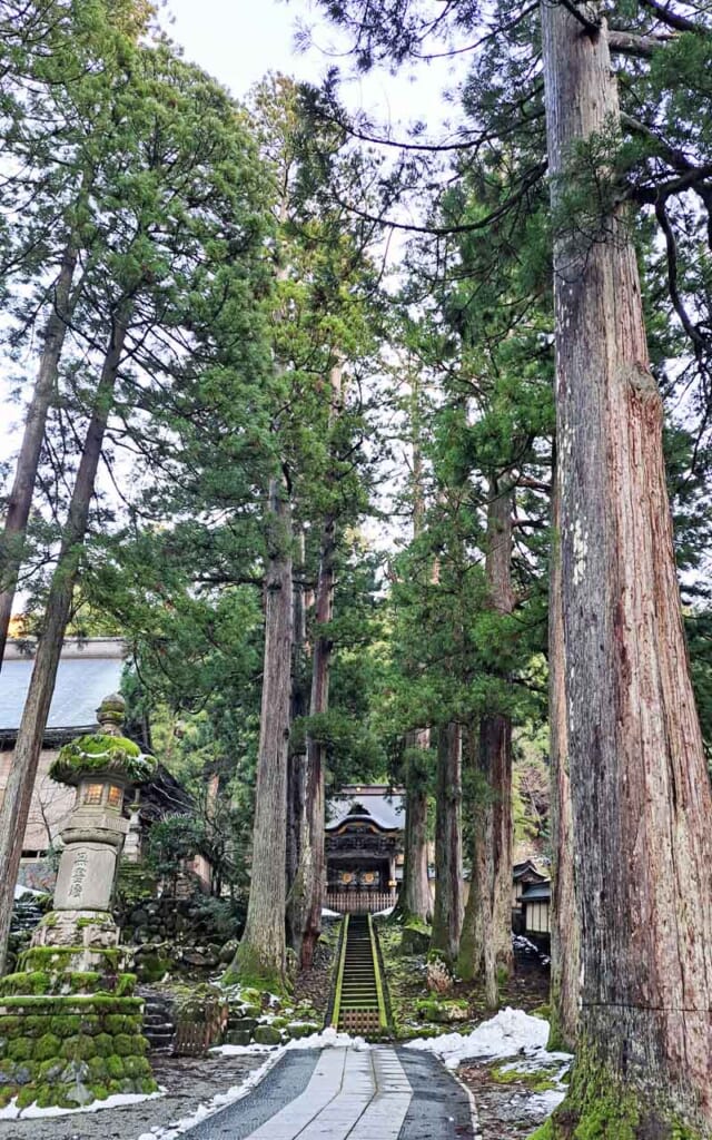 Le temple Eiheiji et son manteau blanc