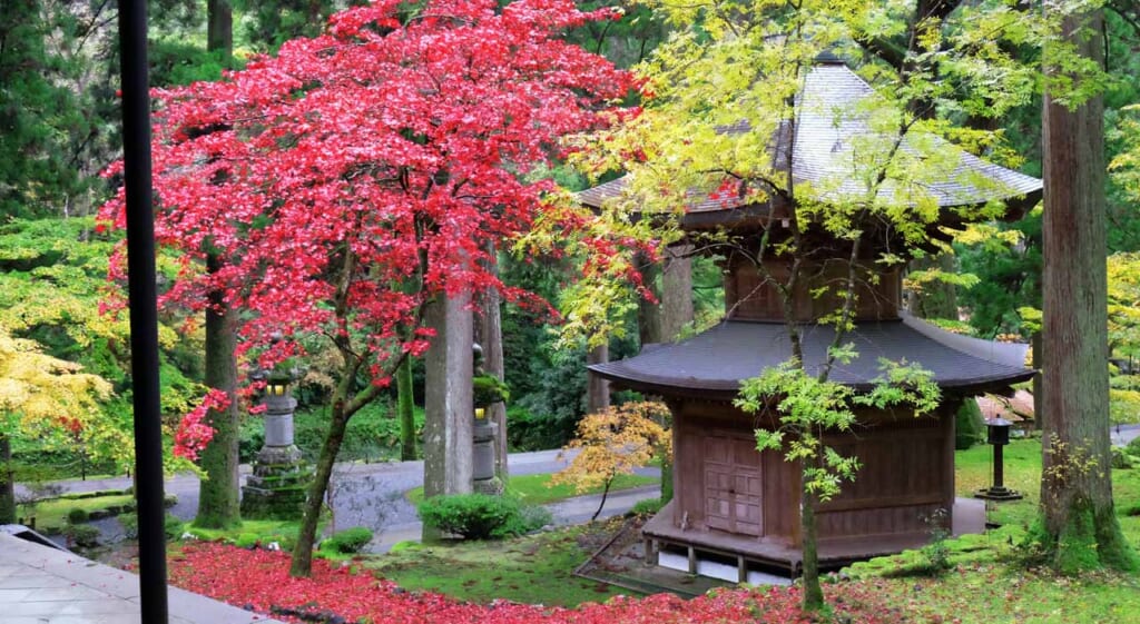 L'automne à Eiheiji