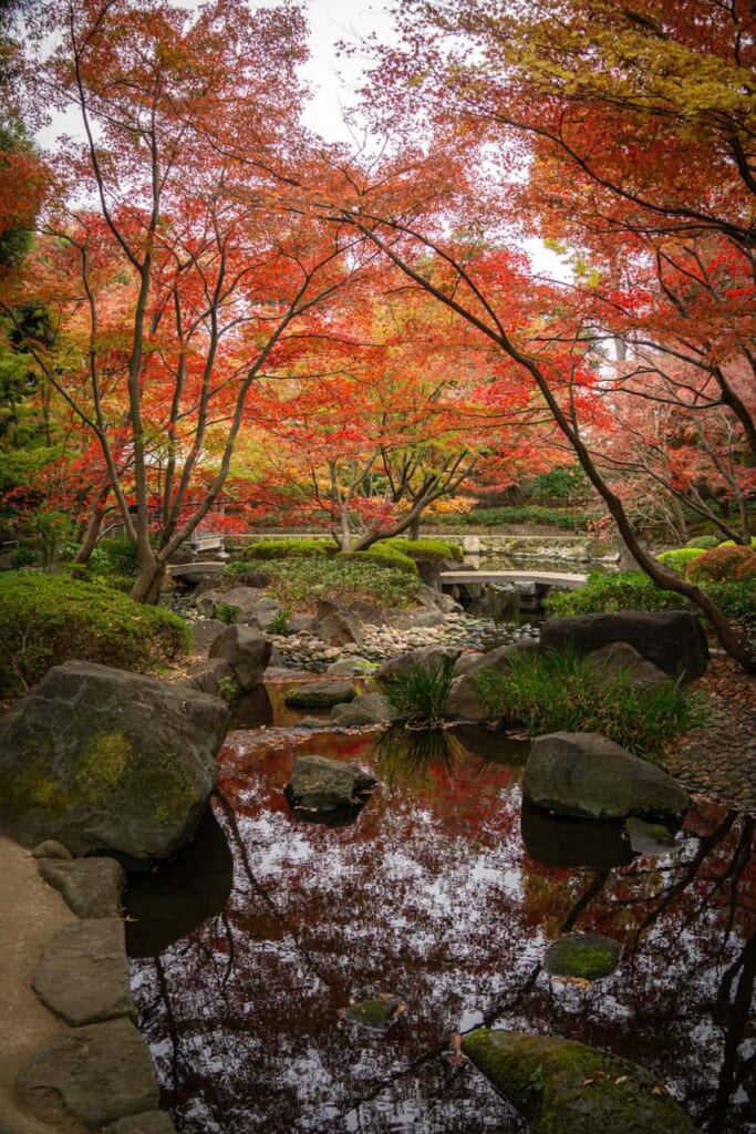 Couleurs d'automne au parc Otaguro