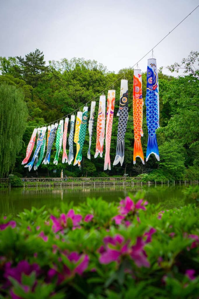 Drapeaux Koinobori au Parc Zenpukuji