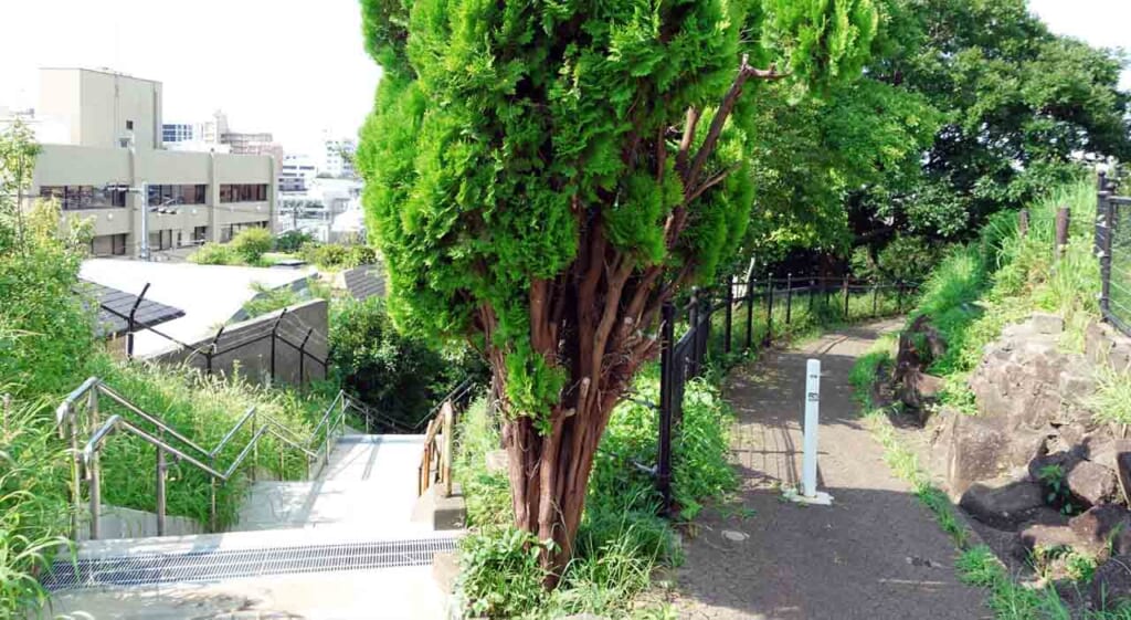 Le parc Saigoyama de Daikanyama