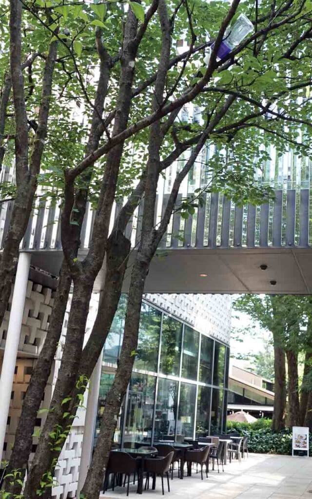 Librairie Tsutaya