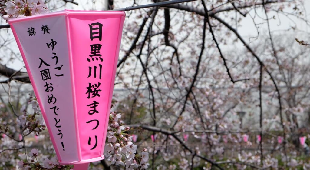 La rivière Meguro au printemps