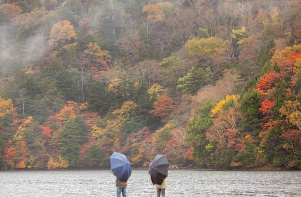 Feuillage d'automne au Japon