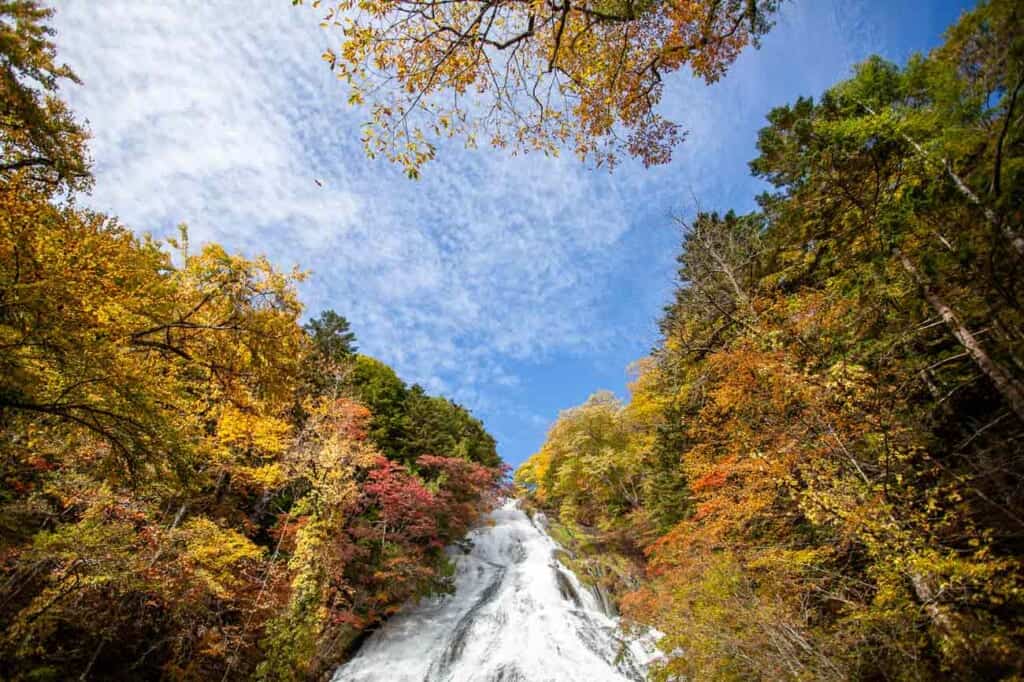 Feuillage d'automne à Nikko