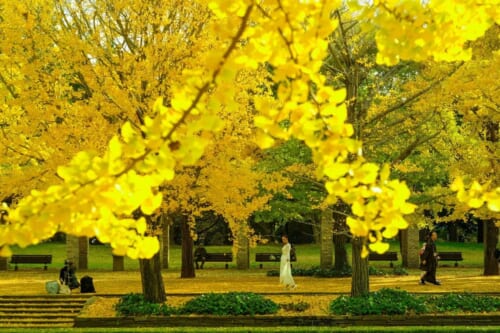 Tokyo l'automne