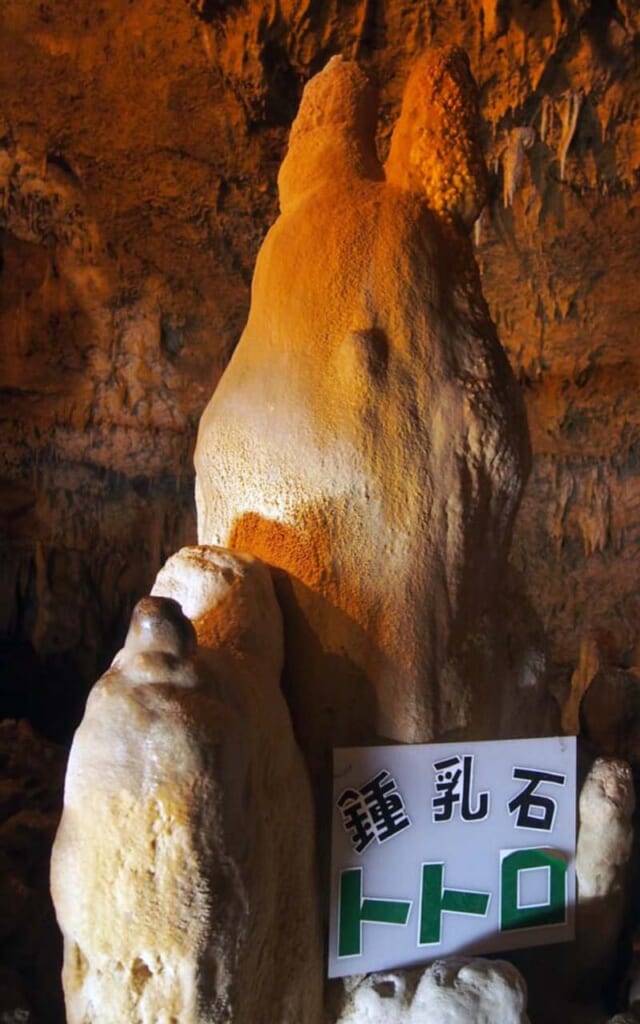 Grotte de calcaire d'Ishigaki