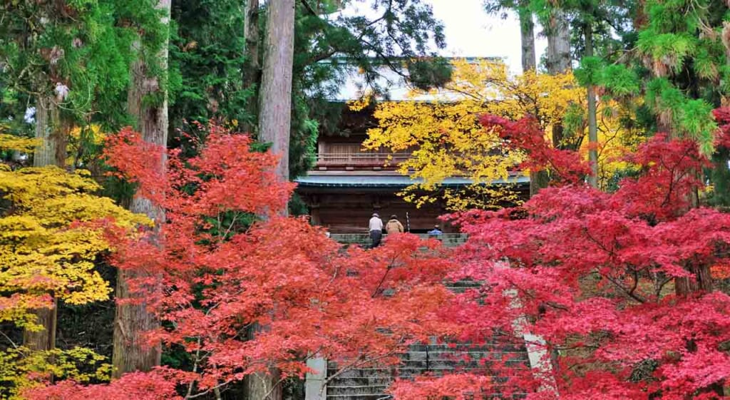 Feuillage d'automne à Enryakuji