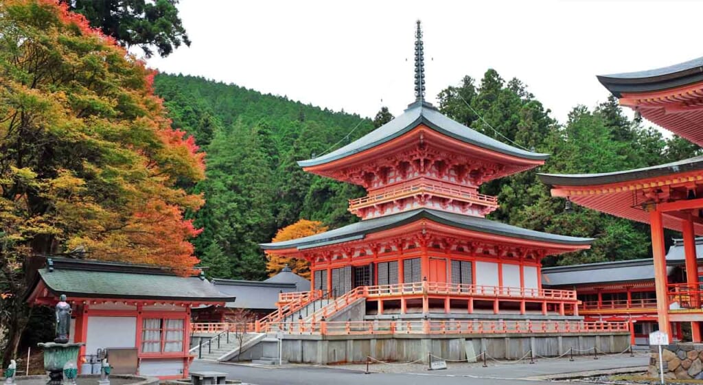 Temple Enryakuji et koyo