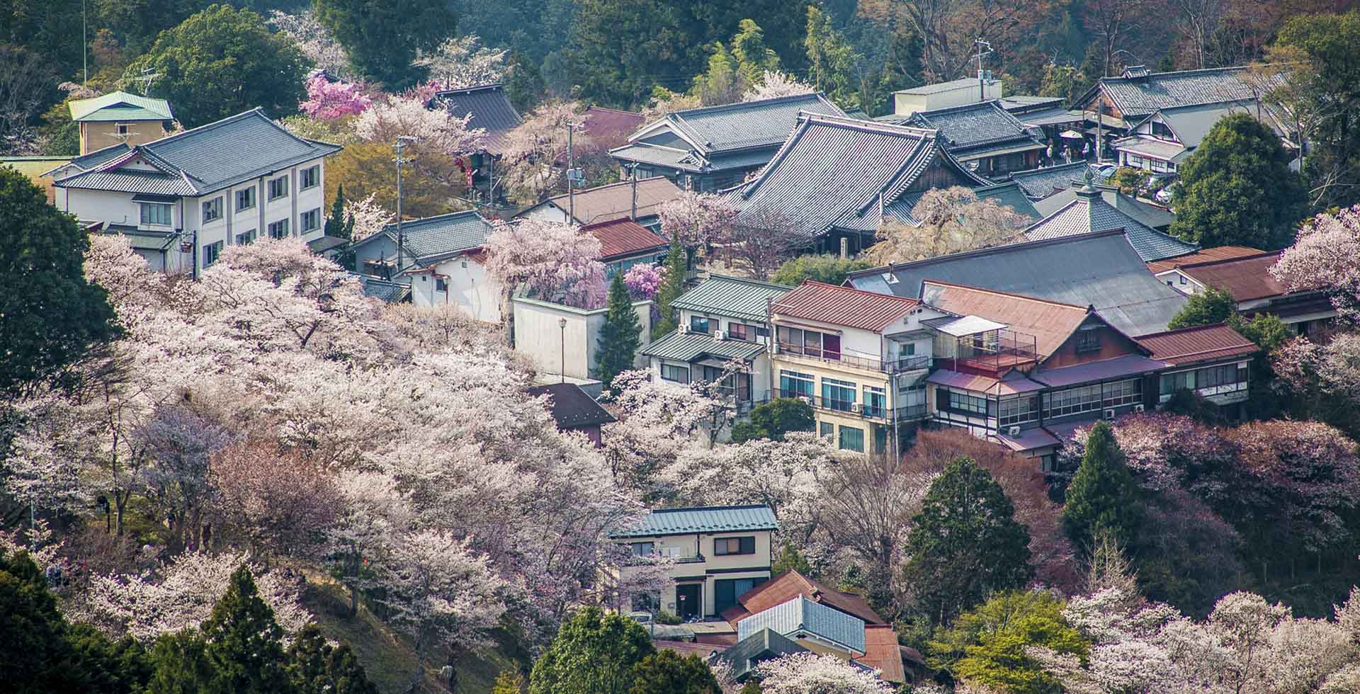 Yoshino, nature et traditions au cœur des montagnes de Nara