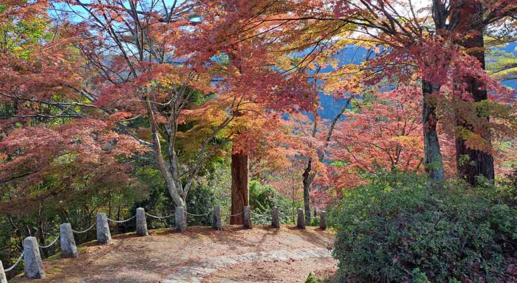 Koyo sur le mont Yoshino