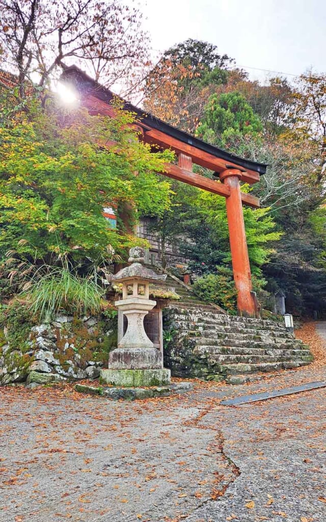 Les couleurs de l'automne au Japon