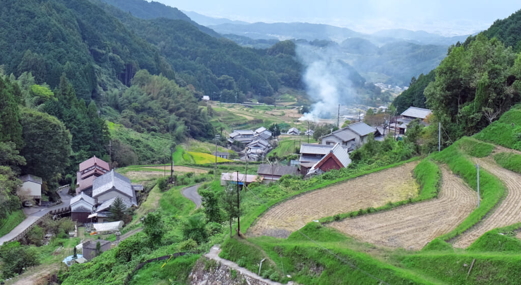 Les rizières d'Asuka