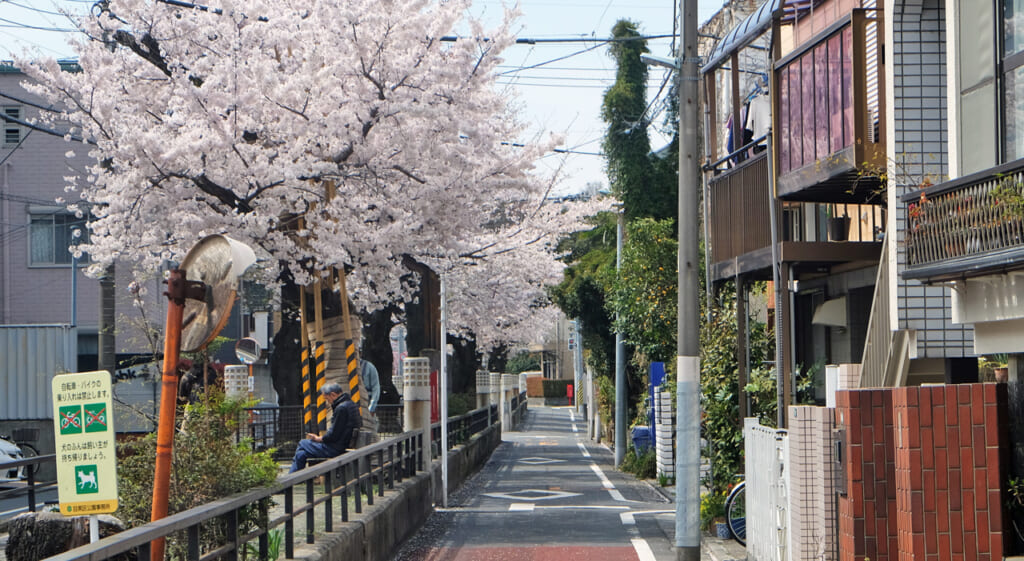 Printemps paisible à Tokyo