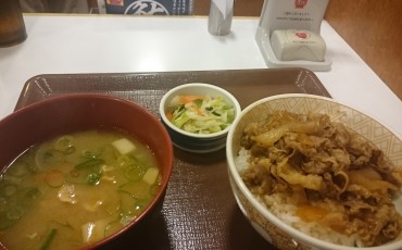 gyudon restaurante japón