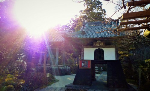 Monasterio de Ryutanji en Shizuoka.