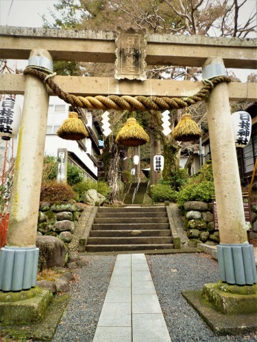 Torii del templo Hie, en Shuzenji (Shizuoka).