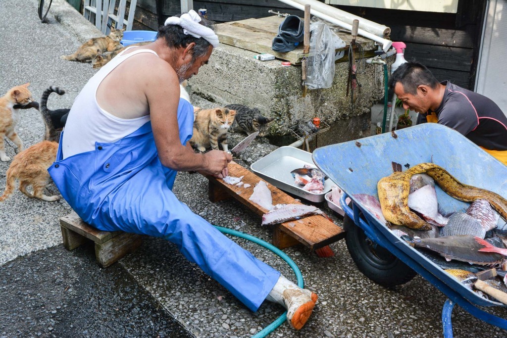 Pescadores de Fukashima (Oita).