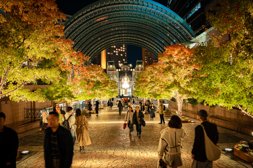 luces de invierno en Ebisu