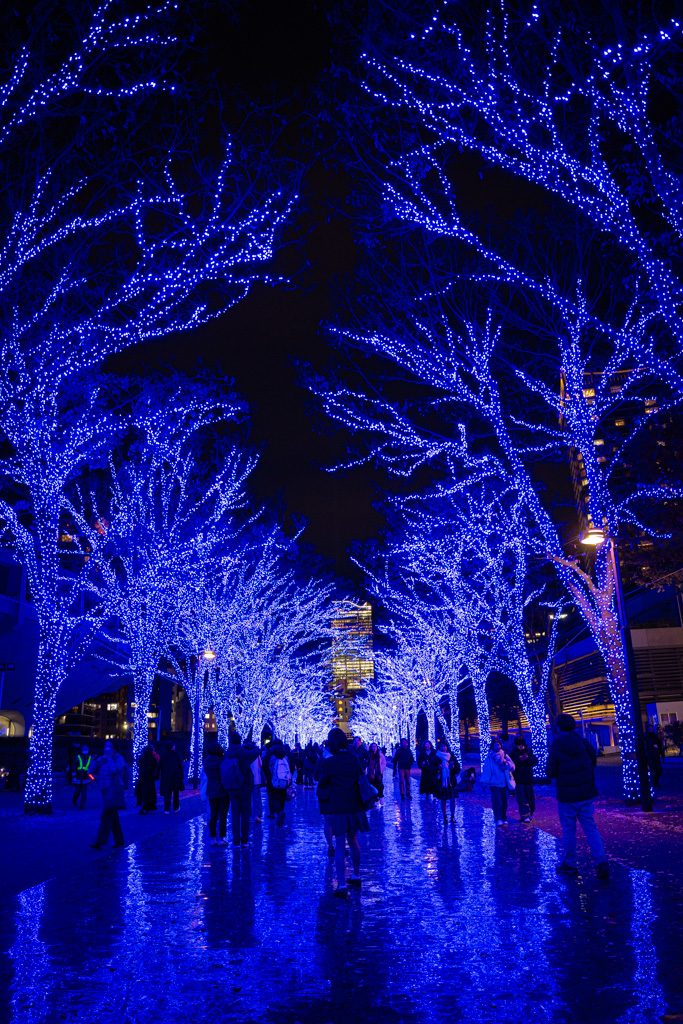 iluminaciones de Shibuya Ao no Dokutsu