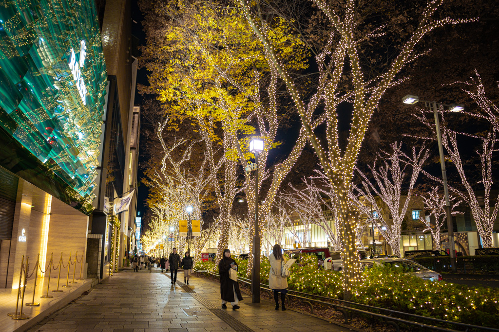 iluminaciones de invierno de Omotesando