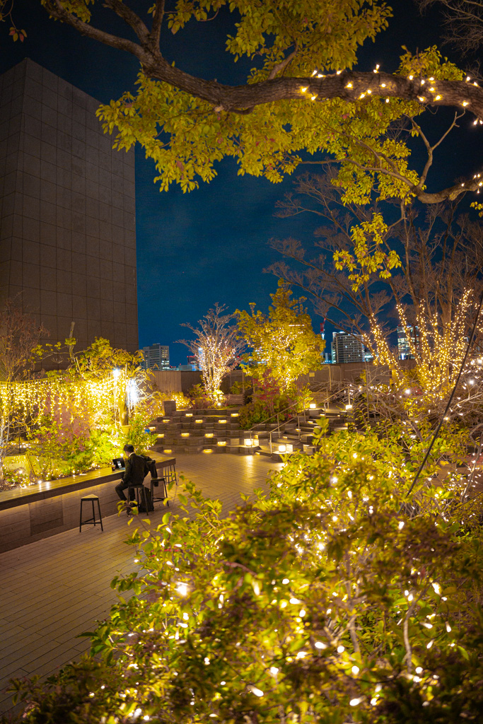 iluminaciones de invierno de Omotesando