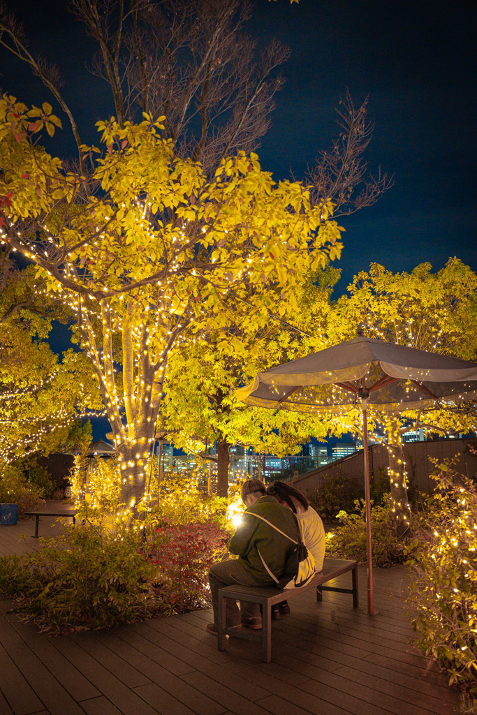 iluminaciones de invierno de Omotesando