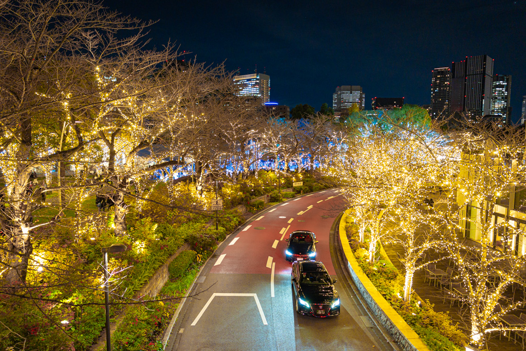 Tokyo Midtown Christmas Illuminations