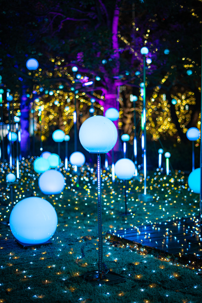 Tokyo Midtown Christmas Illuminations