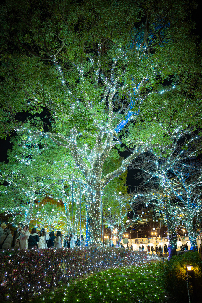 Tokyo Midtown Christmas Illuminations