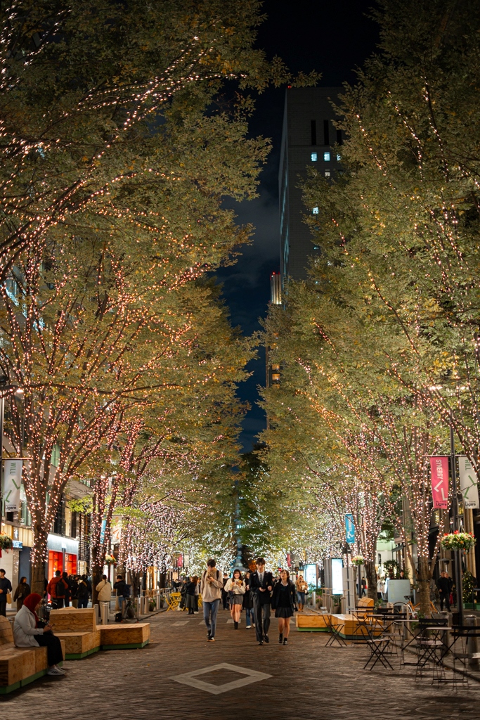 Iluminaciones en Marunouchi