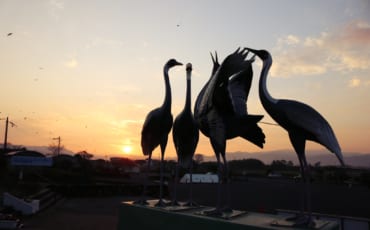 Centro de Observación en Izumi, Kagoshima, Japón