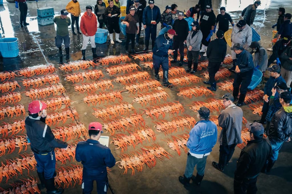 La subasta del cangrejo en el Mercado de Shin-minato Kitokito.