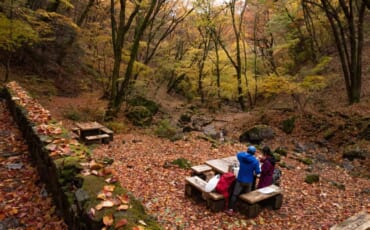 Haciendo picnic en el Monte Mitake