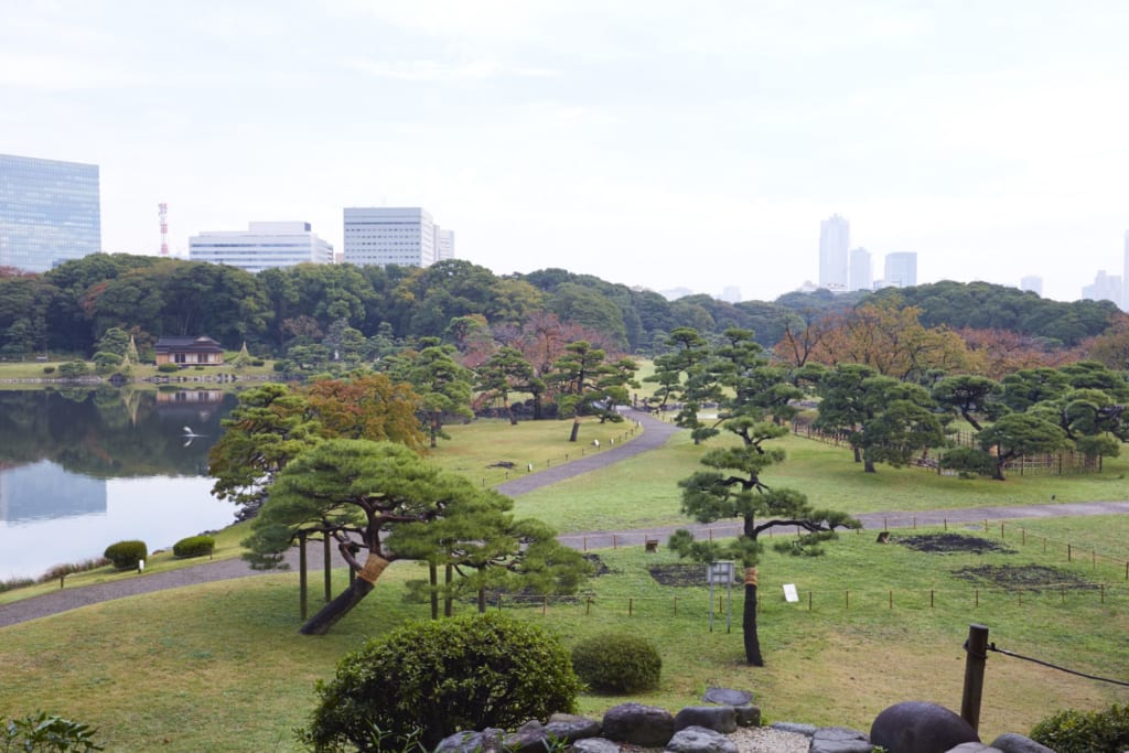 Jardines Japoneses en Tokio: Hama-Rikyu