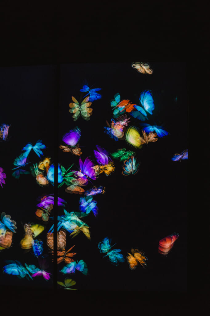 mariposas digitales en una de las salas del museo