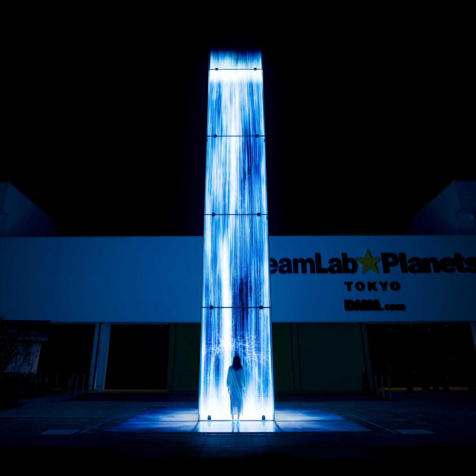 Teamlab en Tokio Todo lo que tienes que saber y nuestra review