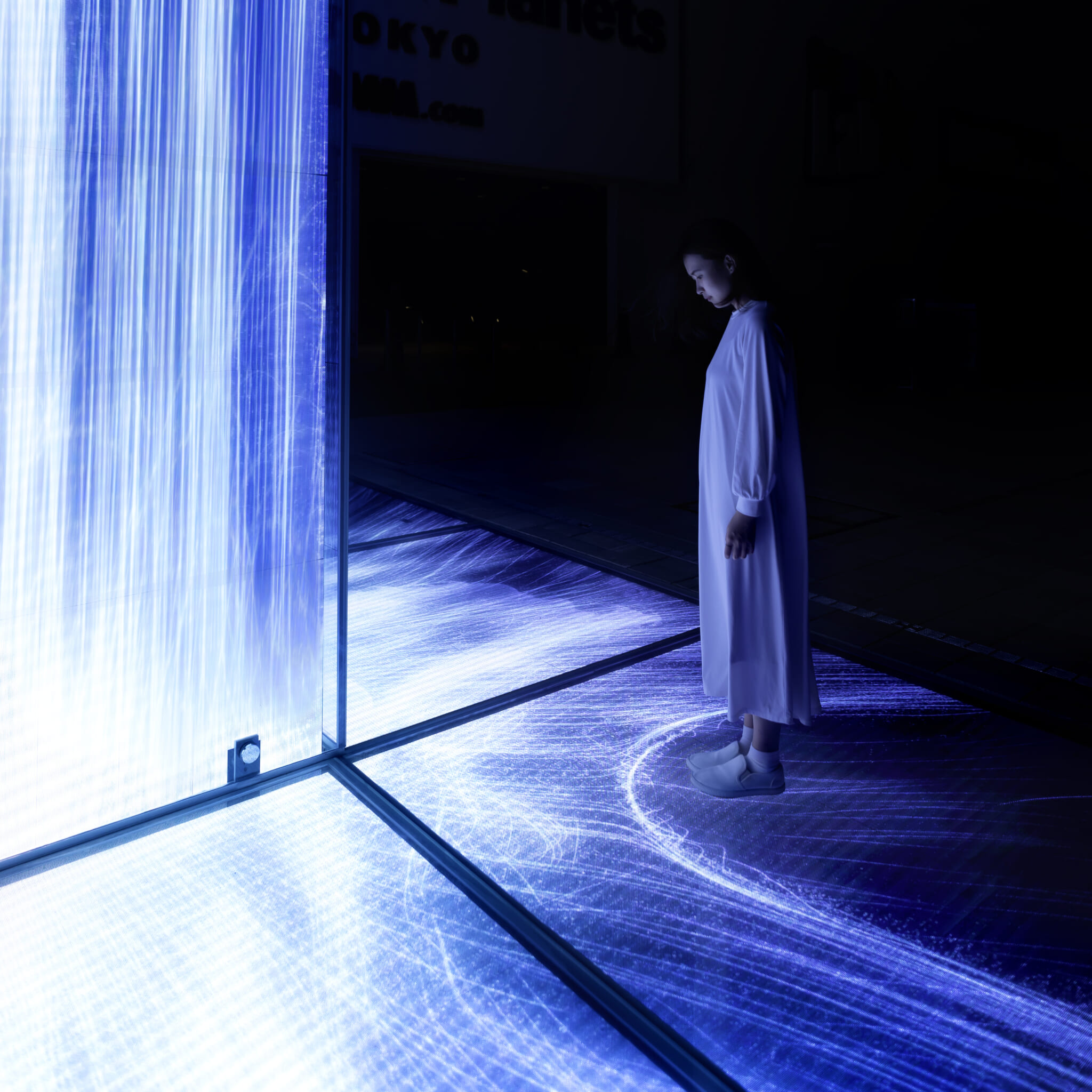 Teamlab Planets en Tokio: Todo lo que tienes que saber y nuestra review