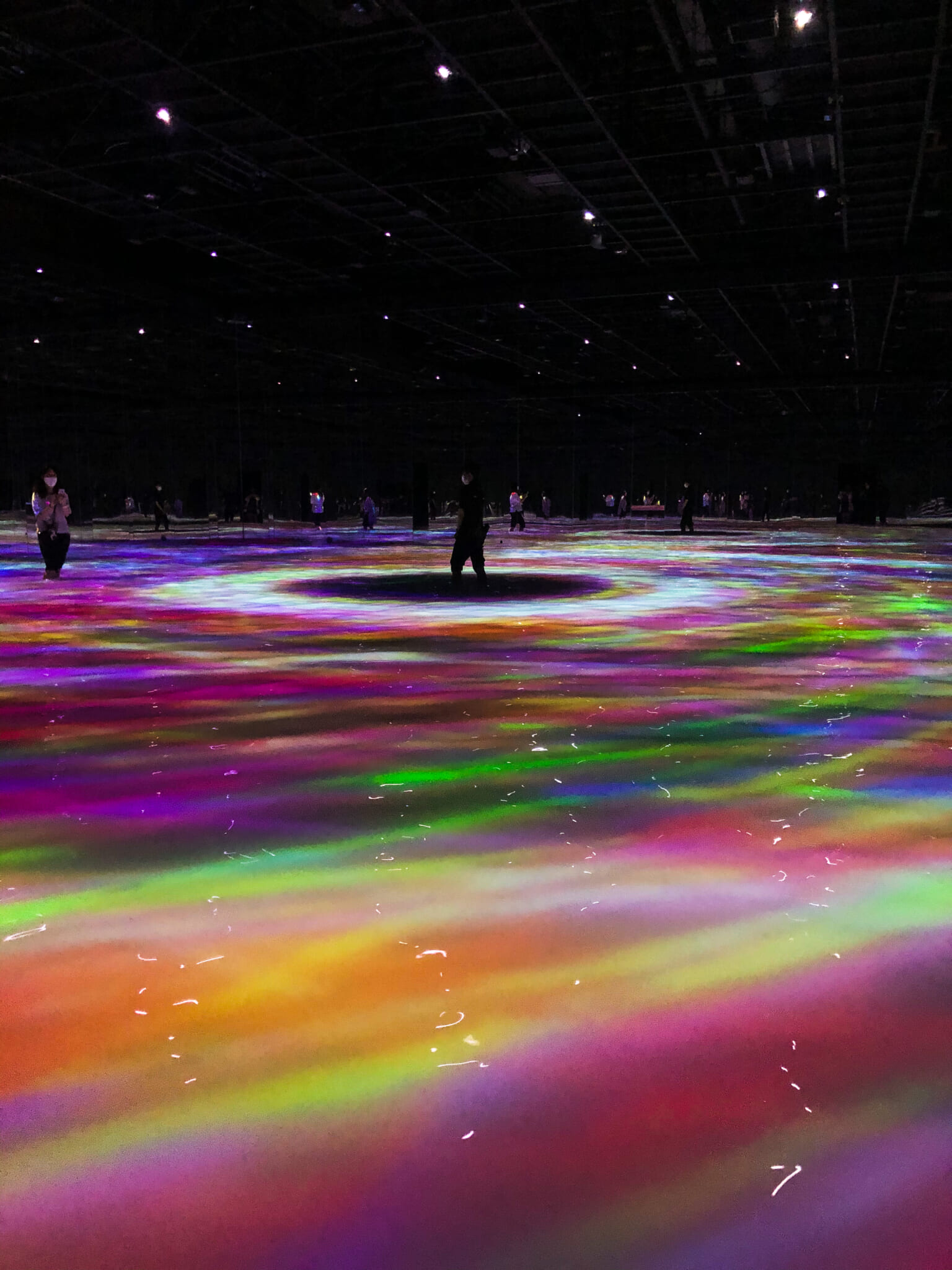 Teamlab en Tokio Todo lo que tienes que saber y nuestra review